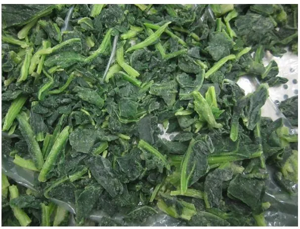 Processed Spinach Cut High Quality IQF Chopped Spinach 3/8", Frozen Vegetable