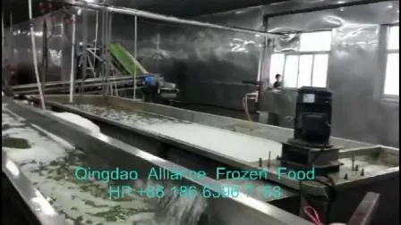 Guisantes verdes congelados IQF de alta calidad de China Suministro directo en embalaje minorista a granel con certificación Brc FDA HACCP