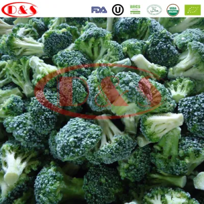 Verduras IQF a Granel para Brócoli y Verduras Mixtas Congeladas