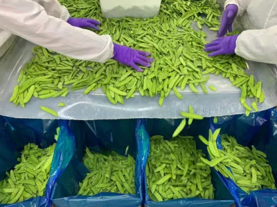 OEM de alta calidad de la vaina de guisante/guisantes congelados IQF con precio de fábrica